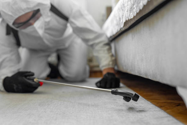 Professional Emergency Pest Control technician working in Palo Pinto County County, TX
